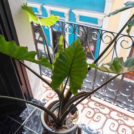 Fortel Hostel San Juan Exteriér fotografie