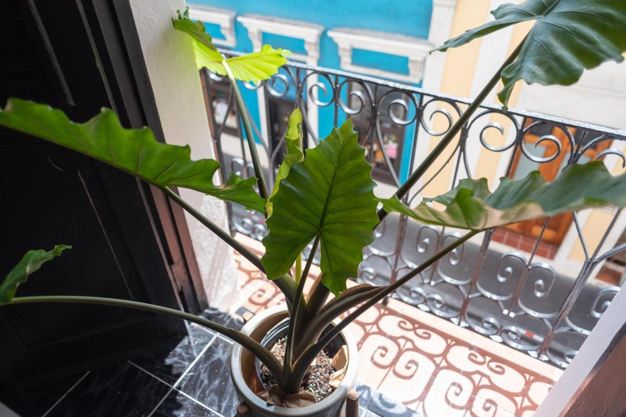 Fortel Hostel San Juan Exteriér fotografie